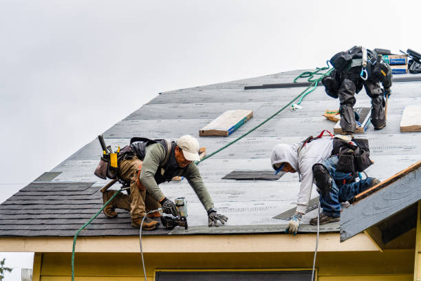 Professional Roof Inspection technician working in Danville, ME